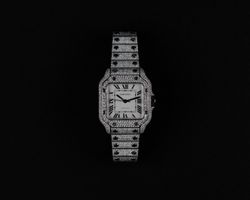 Cartier Santos VVS Iced Out