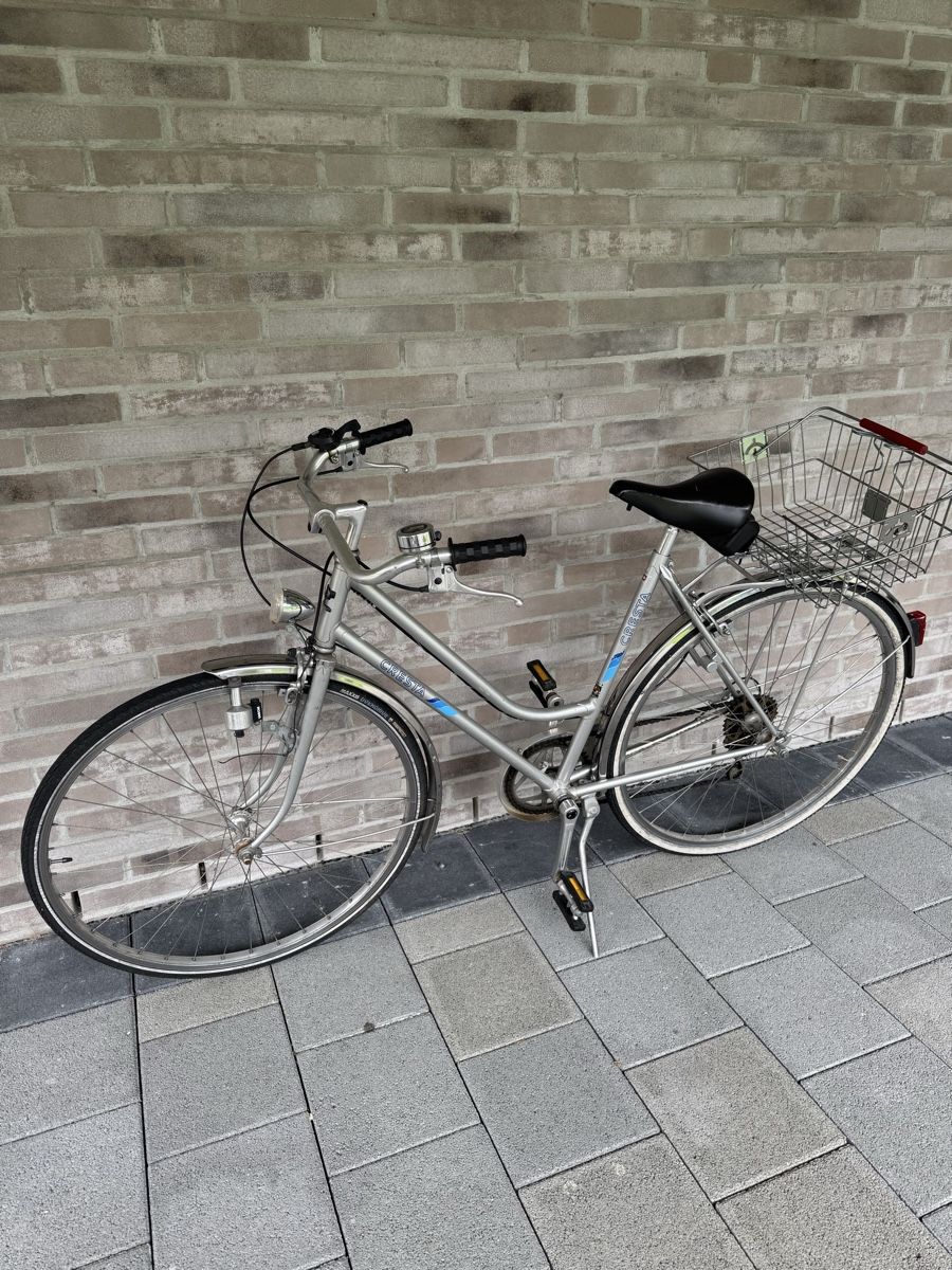 Cresta Biciclette: Cresta Damenvelo – Usato da Interlaken venduto da fbnscl 2