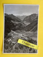 1950 Alp Grüm. Blick gegen das Puschlav u. die Bergamasker-