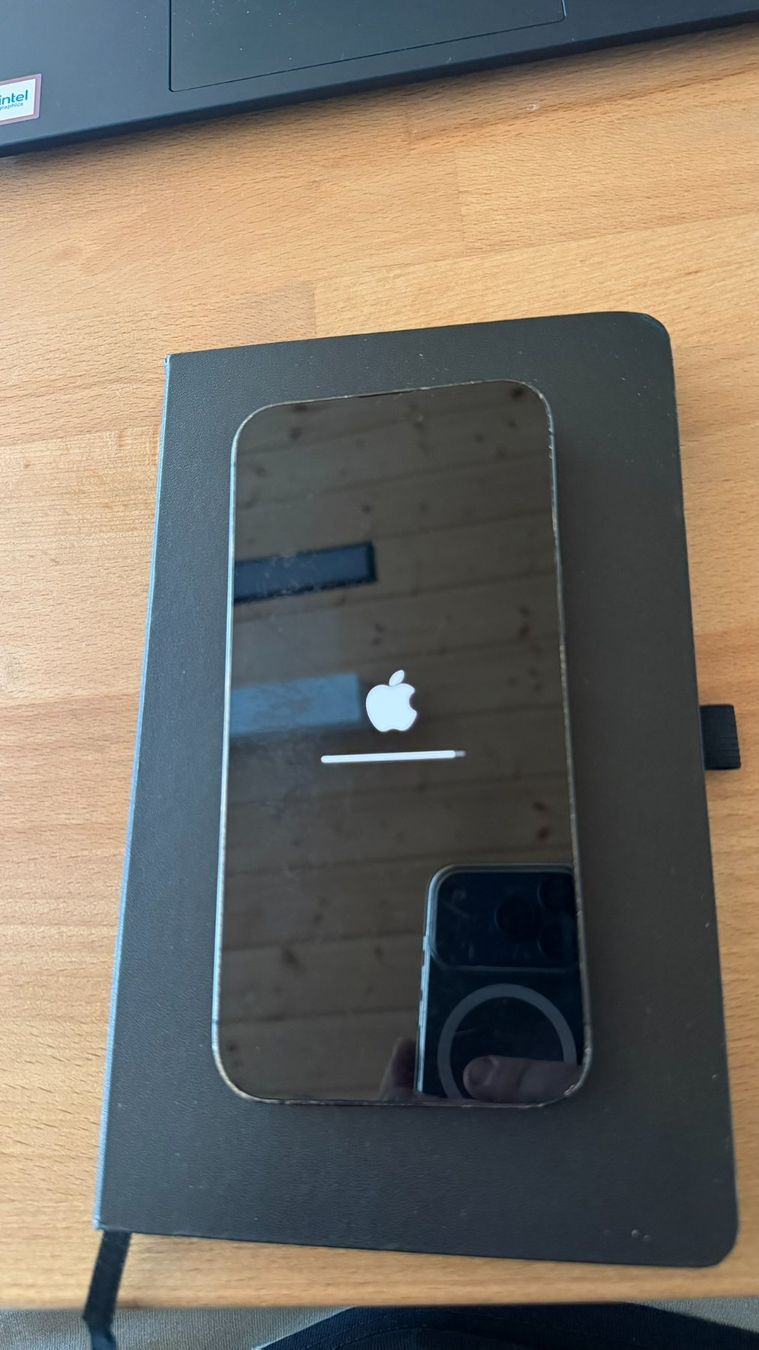 Apple Telefoni cellulari / Smartphones: Iphone 14 PRO MAX 128GB – Usato da Rebstein venduto da EvdHo 1