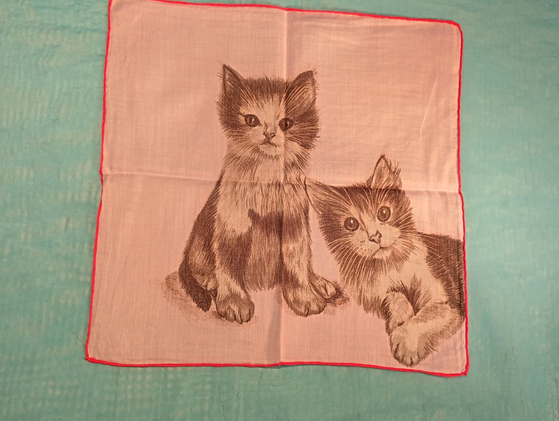 Altro in  Abbigliamento & Accessori: Taschentuch mit 2 Katzen, rosa – Usato da Bellach venduto da JingleCherry 1