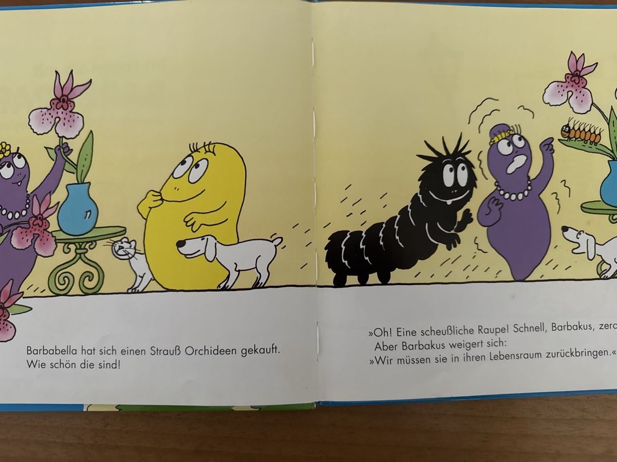 Libri: Barbapapa Buch  Im Labyrinth mit Barbapapa – Usato da Zürich venduto da Smarties13 3