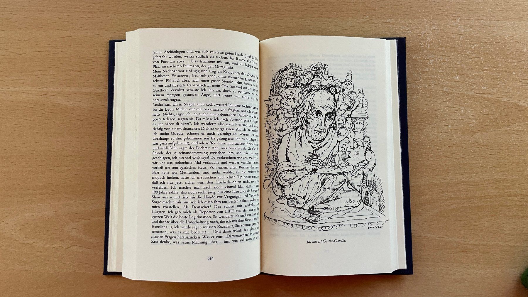 Libri: Im Namen Goethes! – Usato da Glattfelden venduto da cybermaxx 7