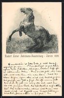 Zürich, Rudolf Koller Jubiläums-Ausste