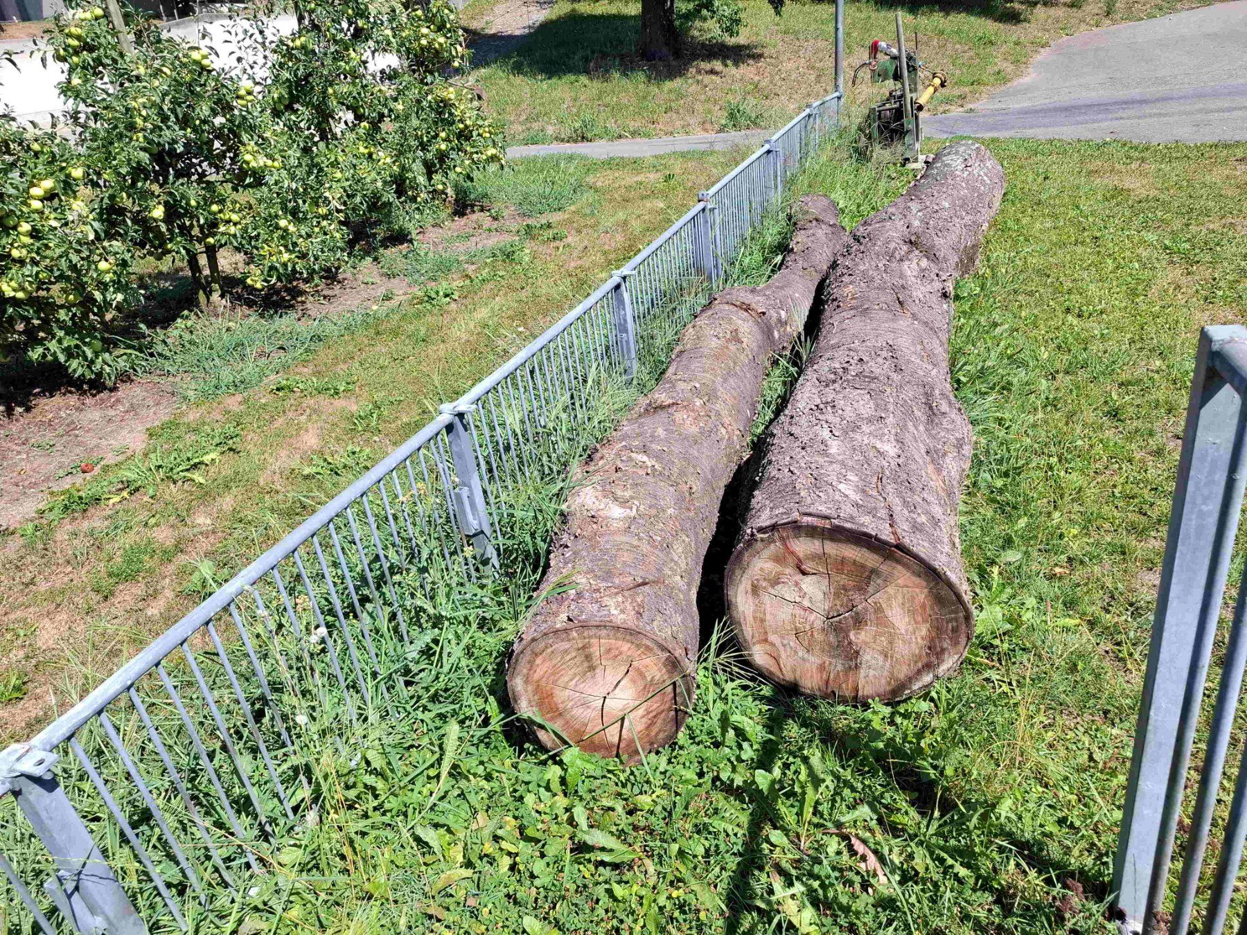 Holzartikel: Baumstamm Kirschbaum – Gebraucht aus Rain von Rigi10