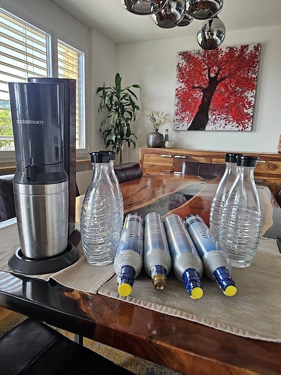 Elettrodomestici da cucina: SodaStream mit 4 Glaskaraffen & CO2-Zylindern  – Usato da Au ZH venduto da PaintingAuction
