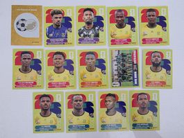 Panini Sticker WM2026: Südafrika