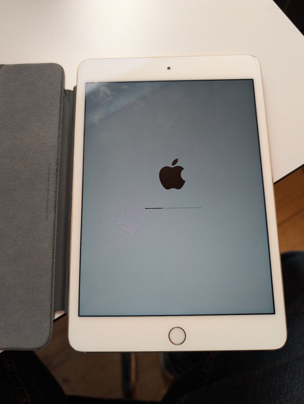 Apple Tablet PC: Ipad Mini 4 – Usato da Wynau venduto da Zebrafurz 1