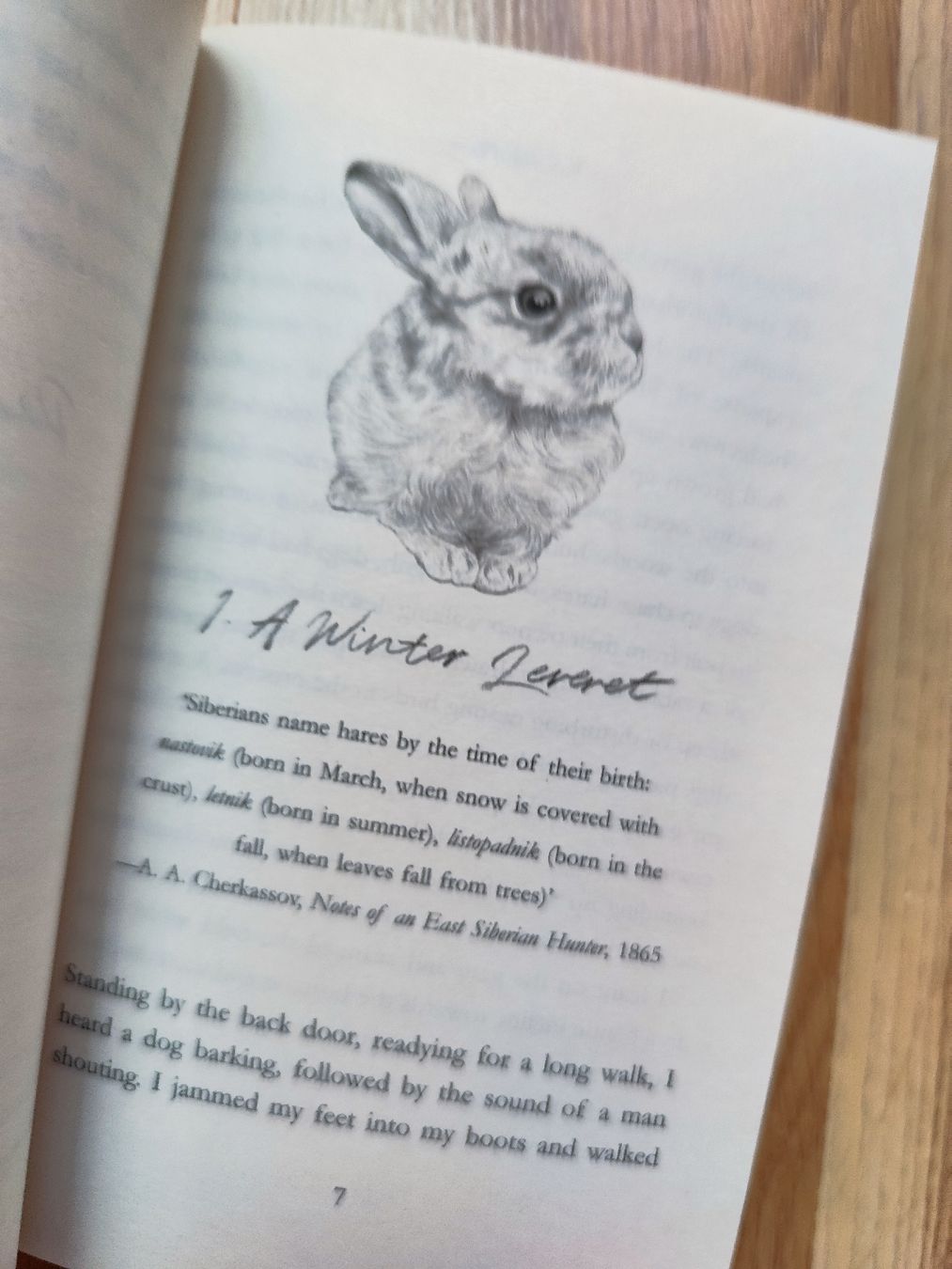 Bücher: Raising Hare by Chloe Dalton Book – Gebraucht aus Mägenwil von VintageGirly 6