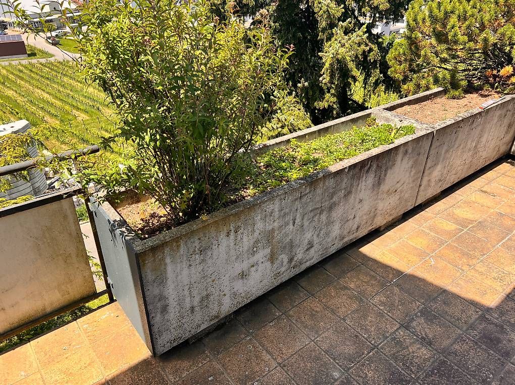 Vasi per fiori: Betontrog L200cmxB50cmxT60cm – Usato da Würenlingen venduto da Andy7