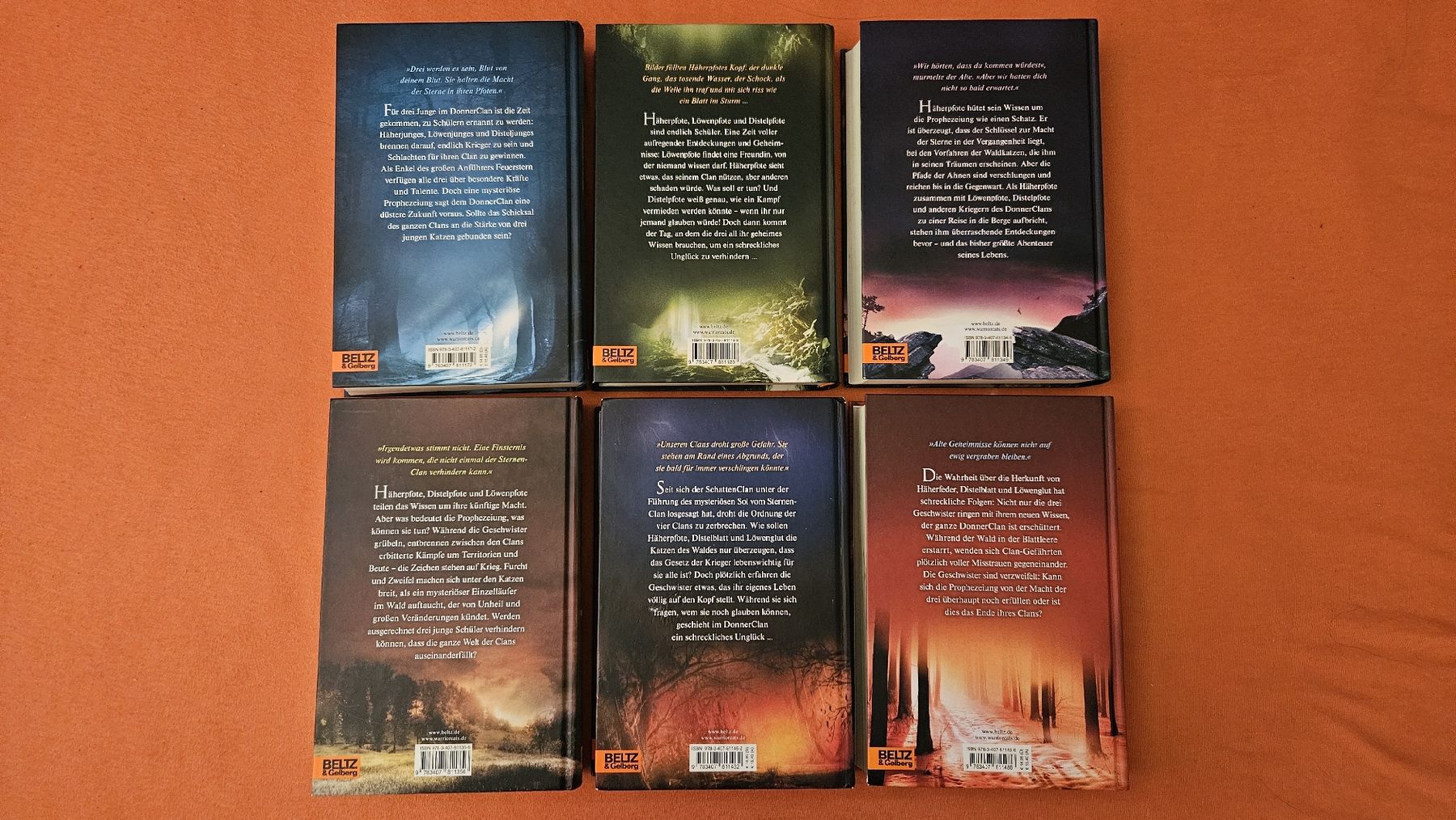 Libri: Warrior Cats Staffel 3 – Usato da Grenchen venduto da ailina_aeschlimann 2