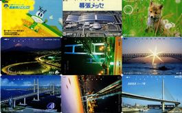 18 seltene Motiv Telefonkarten aus Japan