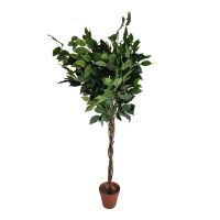 Künstlicher Ficus Benjamina, Grün | 120 cm