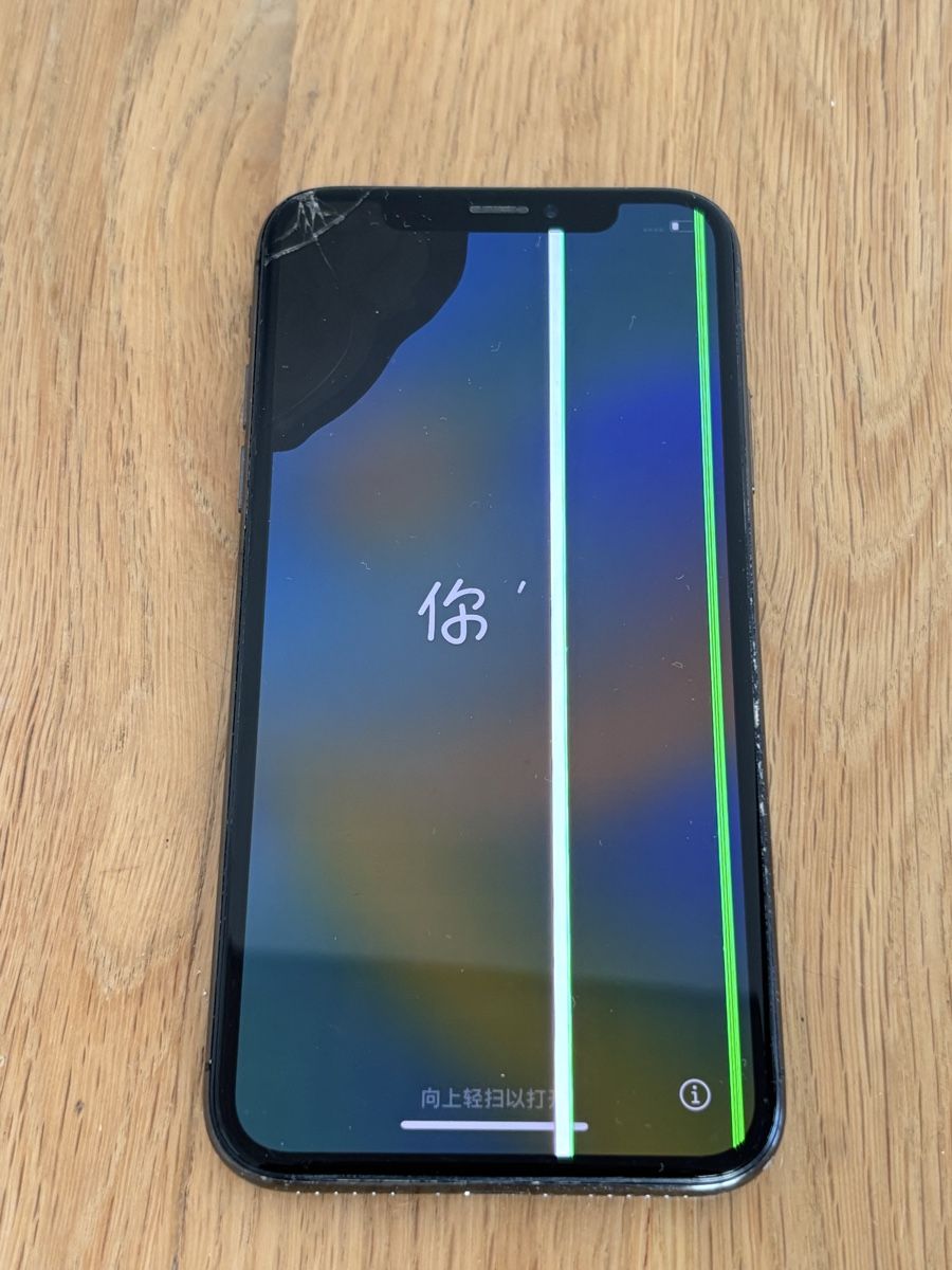 Apple Telefoni cellulari / Smartphones: Iphone X – Usato da Buchs SG venduto da Leben2016