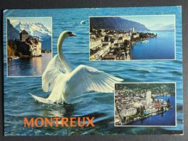 Montreux - Schwan und drei Ansichten