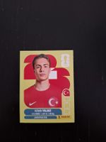 panini 2026 tur 20