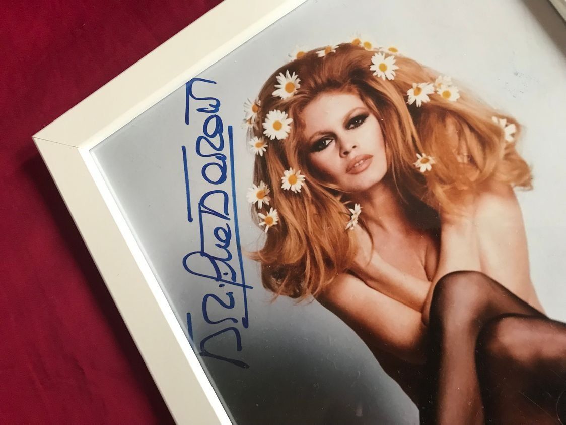 Autografi: BRIGITTE BARDOT  handsigniertes & eingerahmtes Grossfoto COA – Usato da Stallikon venduto da Hollywood7 1