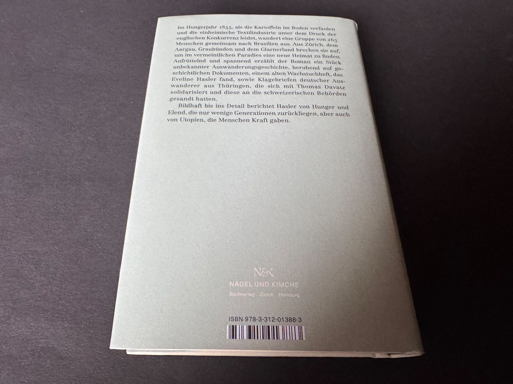 Libri: EVELINE HASLER IBICABA – Nuovo (secondo la descrizione) da Hägendorf venduto da bri_v995 1