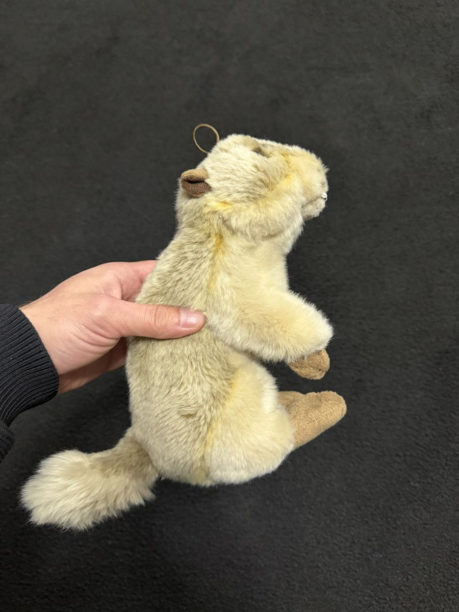 Giocattoli: Süsses Murmeltier Stofftier, ideal als Geschenkidee! – Usato da Winterthur venduto da ric_6jyz 1
