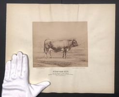 Fotografie Internationale Landwirtschaft