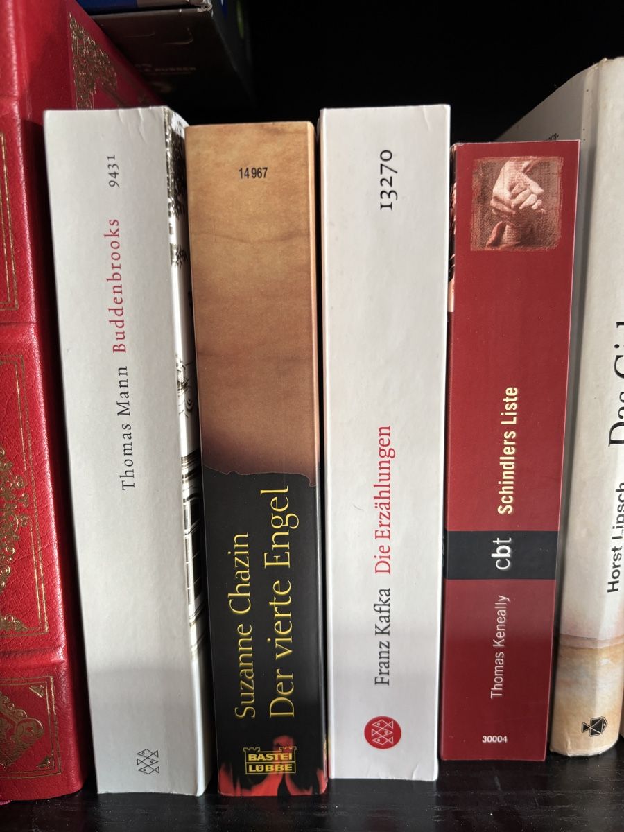 Livres: Diverse Bücher zu verkaufen – D'occasion à Bern par ateranimus 1