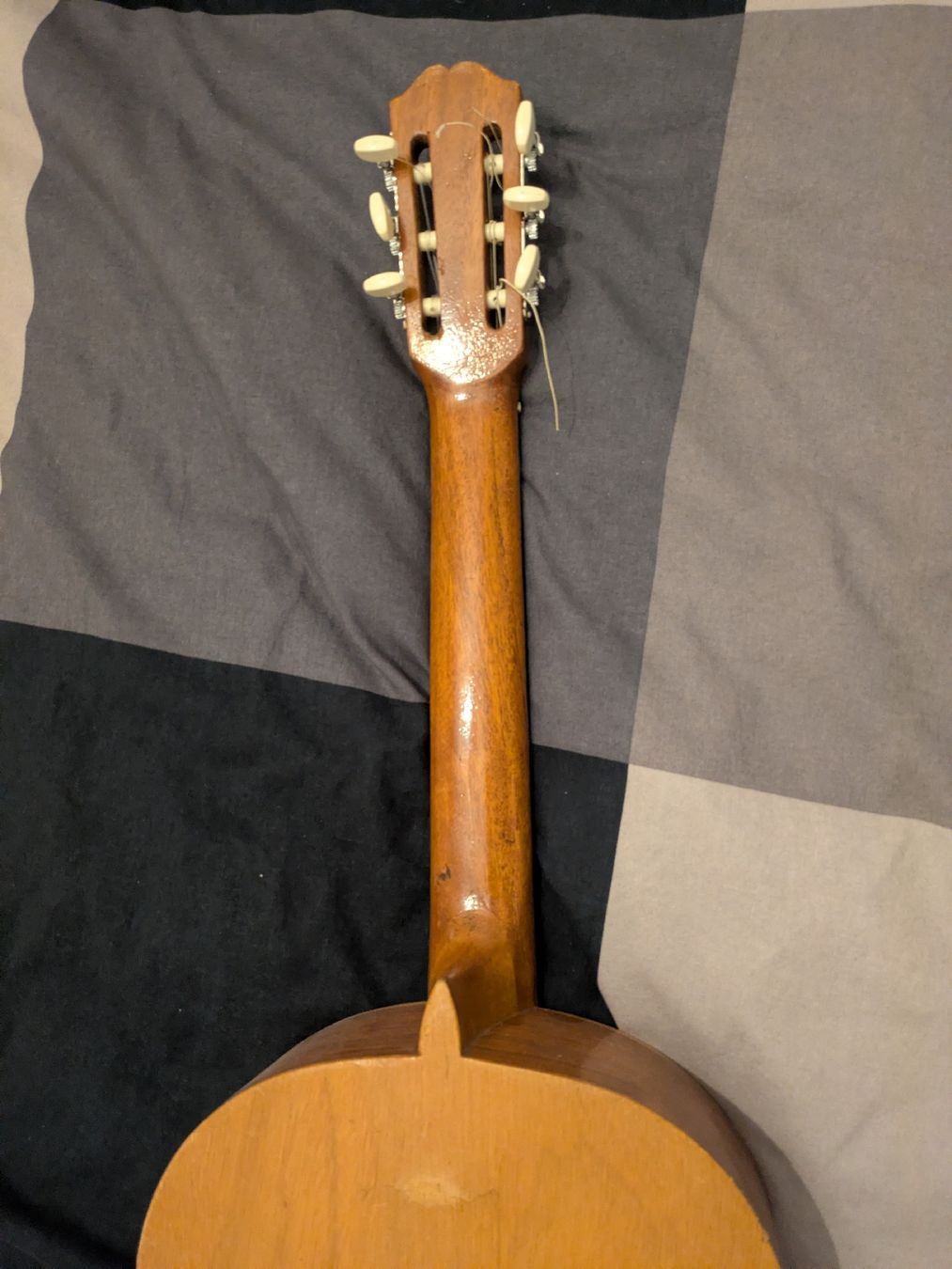 Strumenti musicali: Guitare – Usato da Perly venduto da ric_v2sd 4