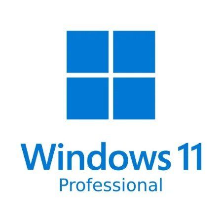 Microsoft Software: Microsoft Windows 11 Pro Multilingual – Usato da Pieterlen venduto da bervine