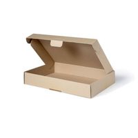 50 Maxibrief-Karton B5 Gr. 24x16x4.5cm  für den Postversand