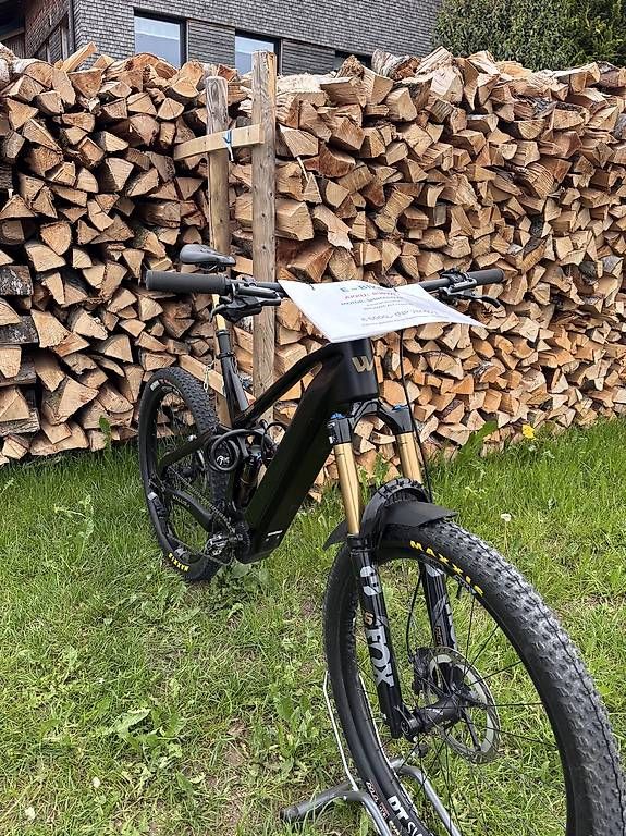 Biciclette: E-Bike, Wallis Carbon E-AMDURO – Usato da Rebstein venduto da lenifeli 1