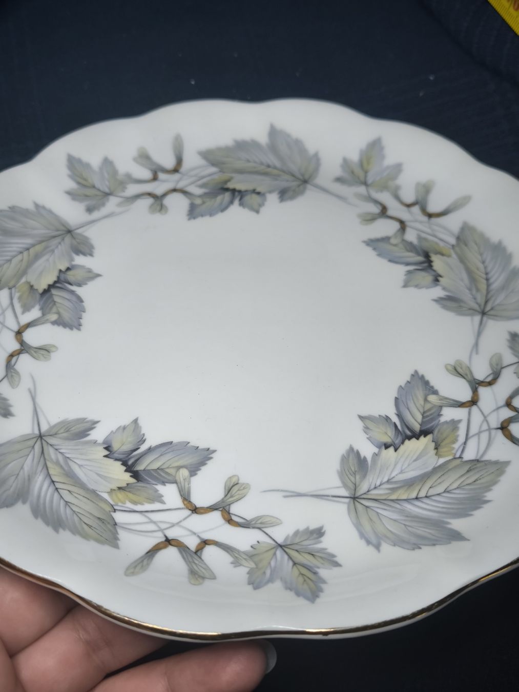 Royal Albert Geschirrsets: assiette Royal Albert Silver Maple – Gebraucht aus Nyon von mgg_gg9j 1