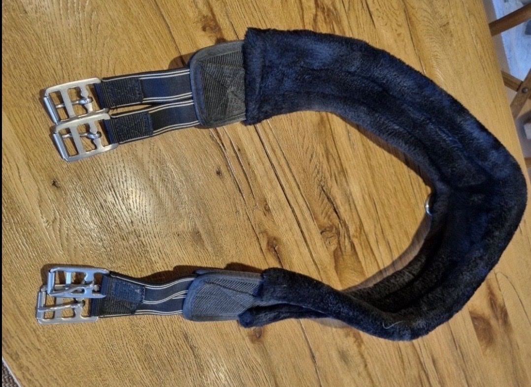 Selle & Accessori: Teddyfell Sattelgurt – Nuovo (secondo la descrizione) da St.Antoni venduto da Neo14 1