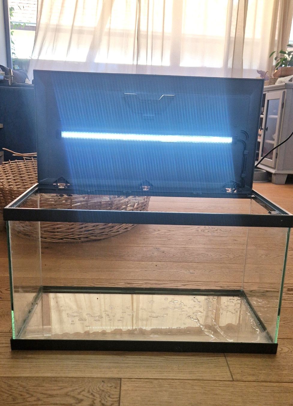 Acquari: Aquarium 54L avec lumière – Usato da Murist venduto da suki453 1