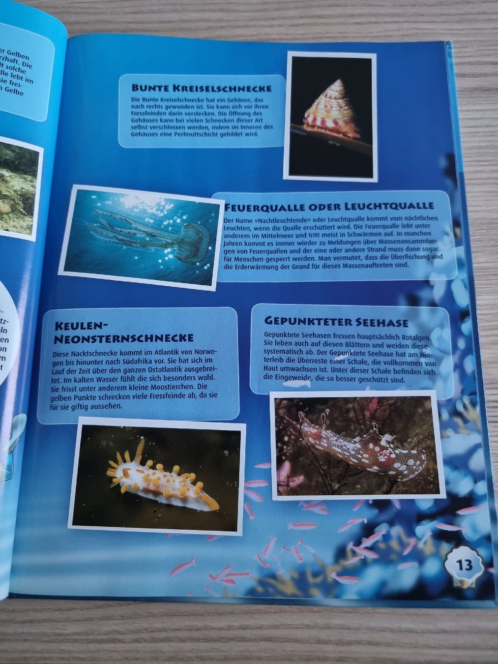 Migros Album: Lillibiggs Ocean Mania Stickeralbum – Usato da Luzern venduto da Luzern_Energy 2