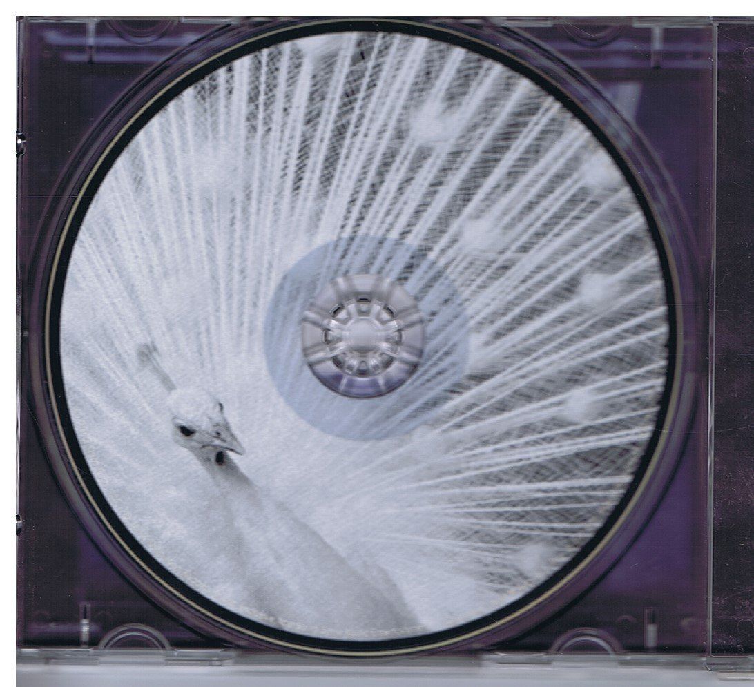 CDs: Jack White  – Blunderbuss (CD) – Gebraucht aus Unterengstringen von Lastchance 2
