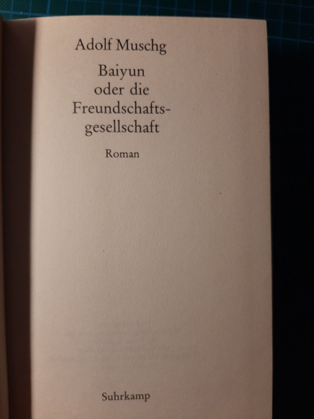 Libri: Adolf Muschg: Baiyun. Roman – Usato da Basel venduto da kouki51 1