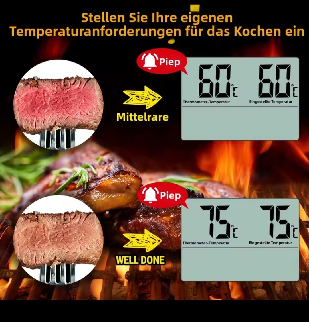 Altro per la casa: ThermoPro Bratenthermometer - Grillthermometer, Neu! – Nuovo e nell'imballaggio originale da Rüegsauschachen venduto da Solex-Driver 4
