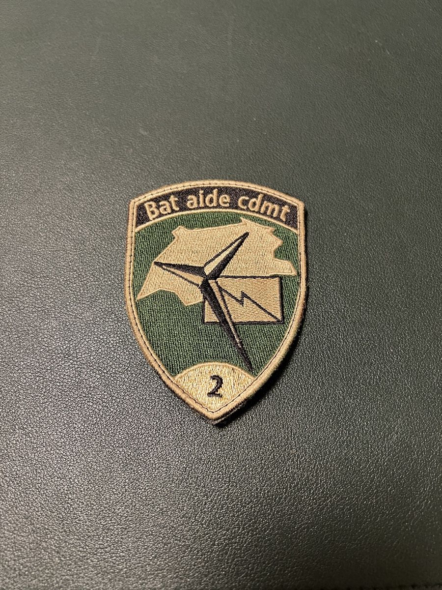 Schweizer Armee Placchette & Badge: Batch Bat Aide Cmdt 2 – Usato da Basel venduto da bowaems