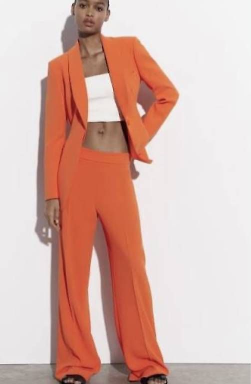 Completi & Tailleur: Zara Blazer & Hosen – Usato da Winterthur venduto da mar_8rdk 1