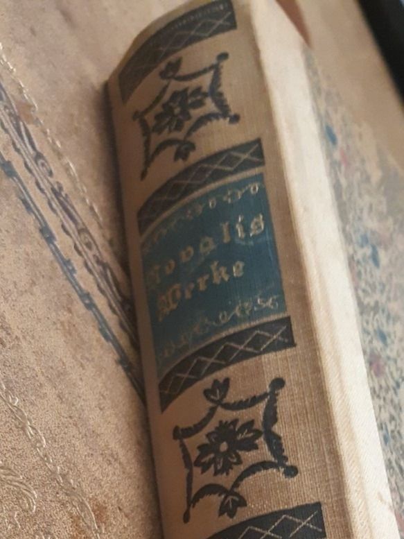 Libri: Novalis Werke in einem Band – Usato da Stetten AG venduto da Brissago25