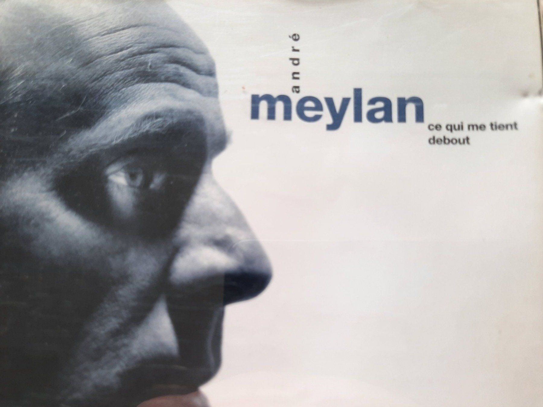 CDs: CD André Meylan - Ce qui me tient debout  – Gebraucht aus Pully von bro_n52j 1