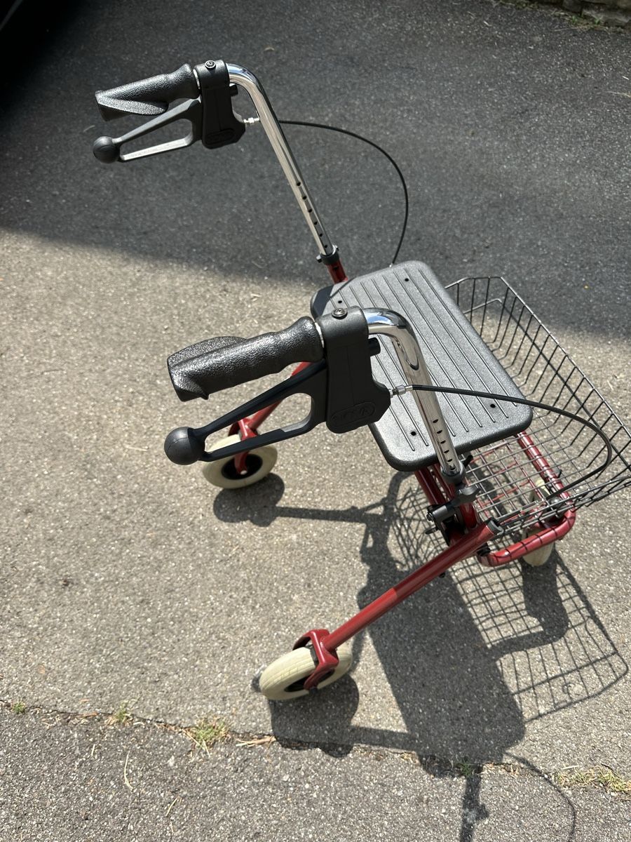 Ausili per la deambulazione: rollator – Usato da Uttigen venduto da edu_jn6l 3