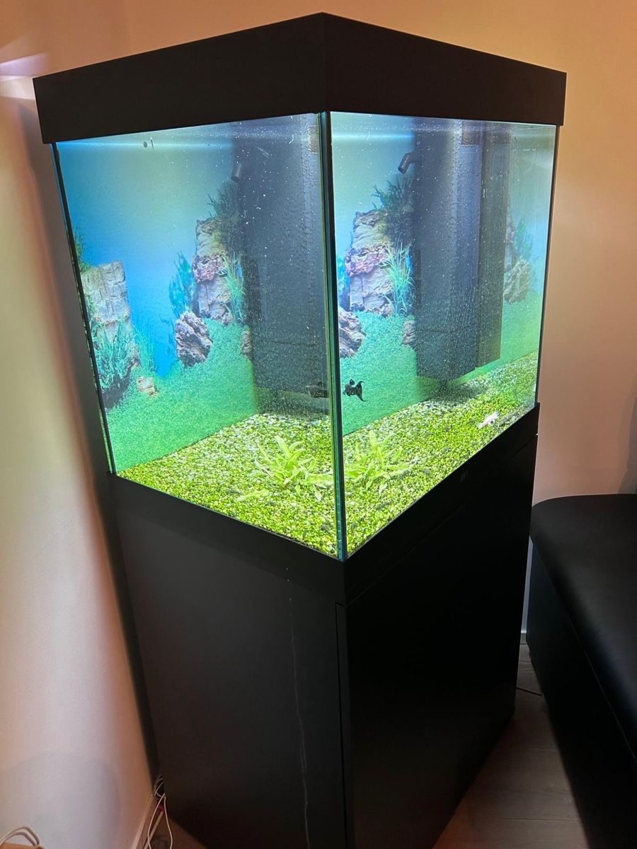 Juwel Acquari: Juwel 200L Aquarium mit LED + Unterschrank – Usato da Gossau ZH venduto da bij_y9mb 1