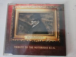 Puff Daddy Tribute To The Notorious B.I.G.