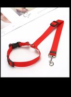 Belt Gurt Hunde Katze haustier transport safety Halsband
