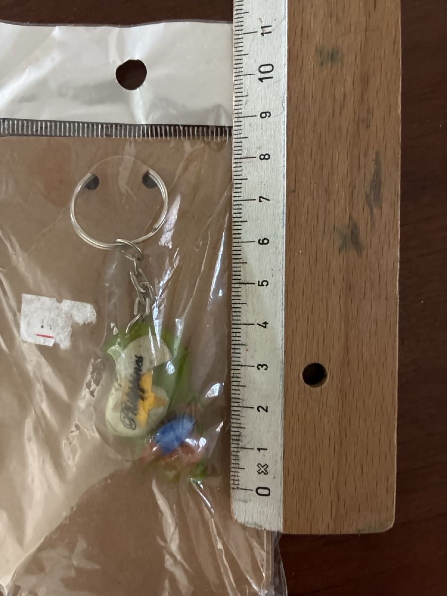 Portachiavi: Philippines Souvenir Keyring - Cute Gift! – Nuovo e nell'imballaggio originale da Zürich venduto da and_bbr2 2