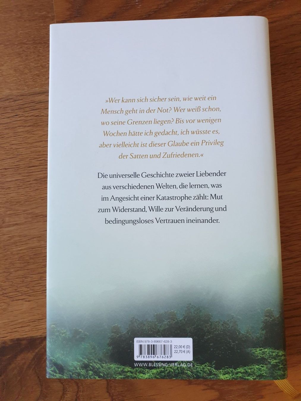 Libri: Jan-Philipp Sendker: Die Rebellin und der Dieb – Nuovo (secondo la descrizione) da Bern venduto da monbijou01 1