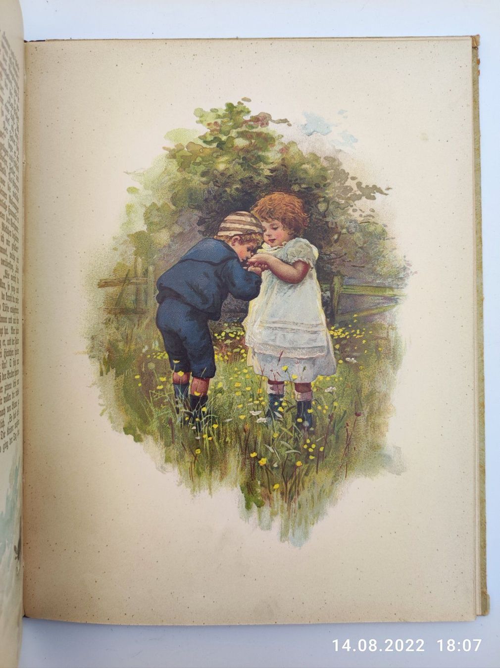 Bücher: KINDERBUCH  - WAS MAN IM WALDE HÖRT – Gebraucht aus Goldach von Gaip 2