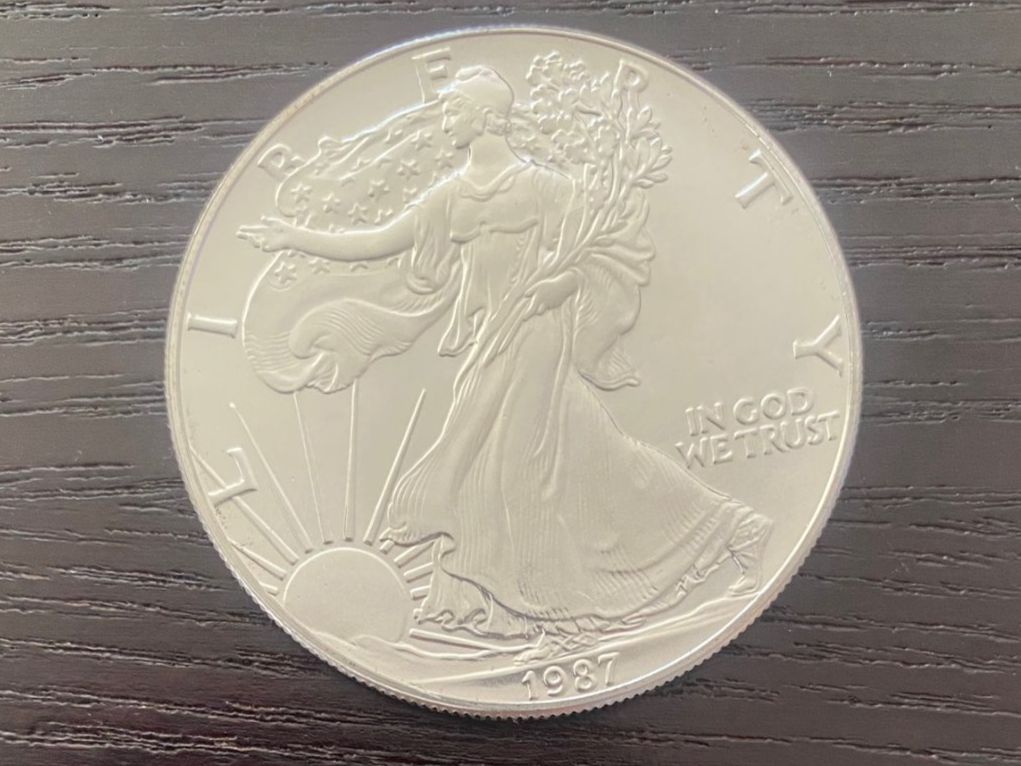 Alle Münzen: American Silver Eagle 1 oz – 1987 unzirkuliert – Neu (gemäss Beschreibung) aus Aarau von radilio01
