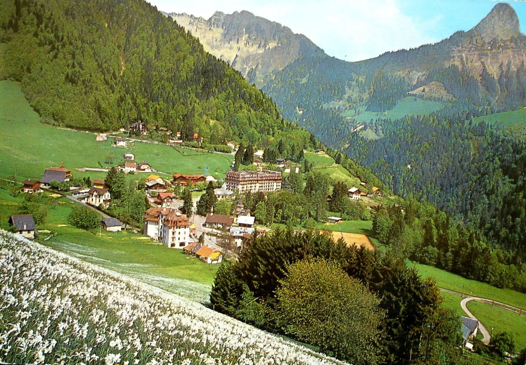 Cartes postales: LES AVANTS sur Montreux – D'occasion à Jona par philajona