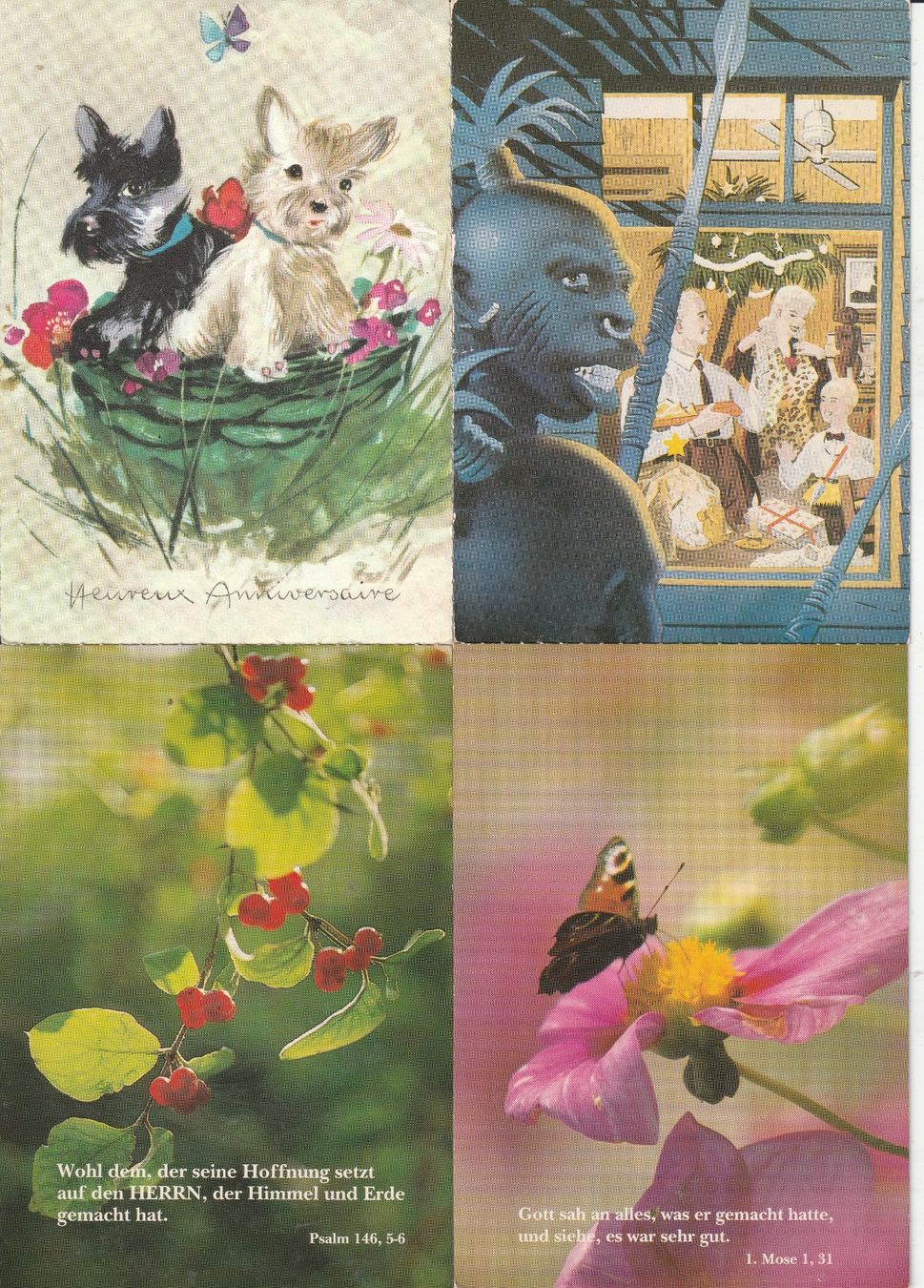 Cartoline postali: 40 Allerlei Karten – Usato da Lumbrein venduto da made02 8